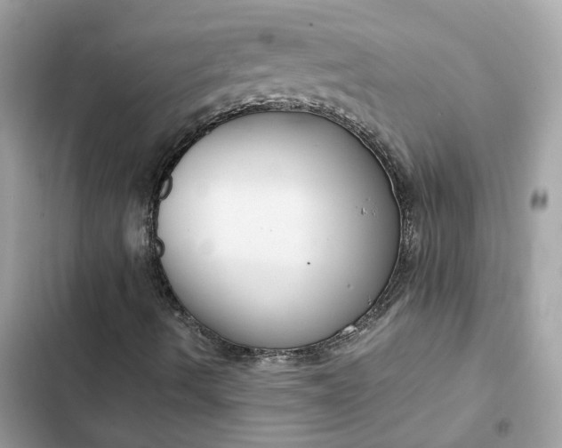 X0000102381490200808151846