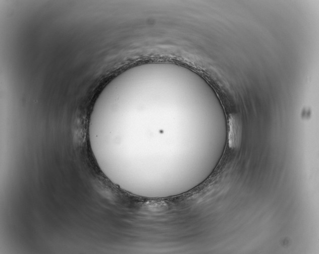 X0000102381491200808151846