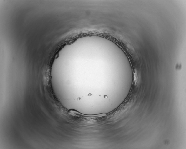 X0000102381492200808151846