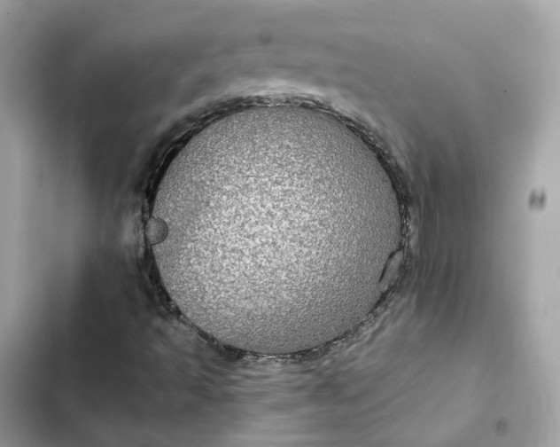 X0000102381493200808151846