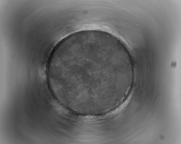 X0000102381497200808151846