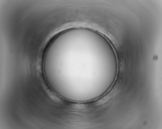 X0000102381499200808151846