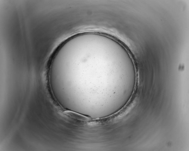 X0000102381501200808151846