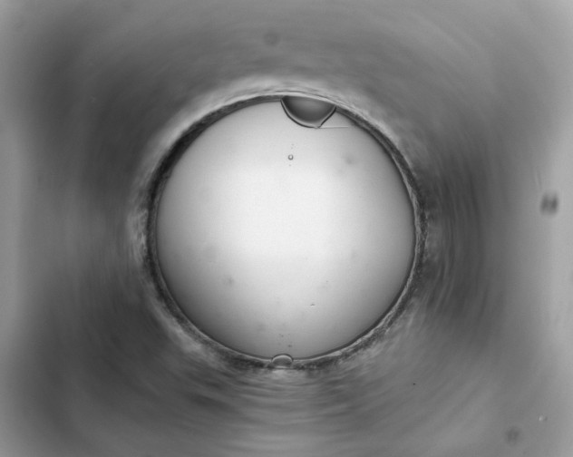 X0000102381503200808151846