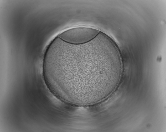 X0000102381504200808151846