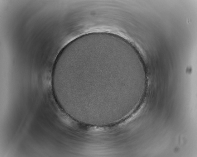 X0000102381505200808151846