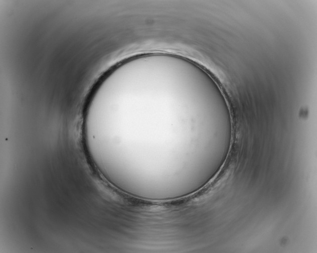 X0000102381507200808151846