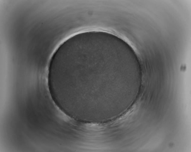 X0000102381508200808151846