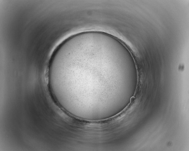 X0000102381510200808151846