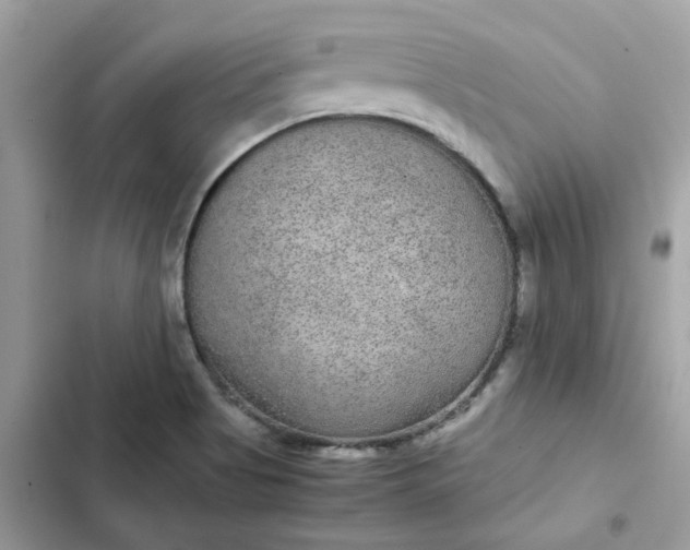 X0000102381513200808151846