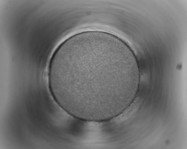 X0000102381514200808151846