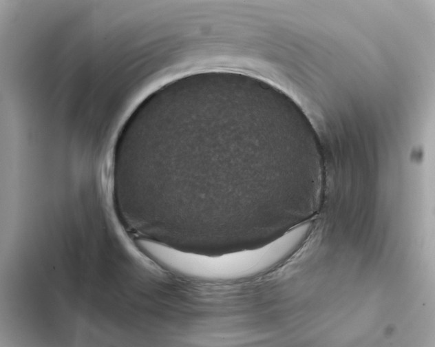 X0000102381515200808151846