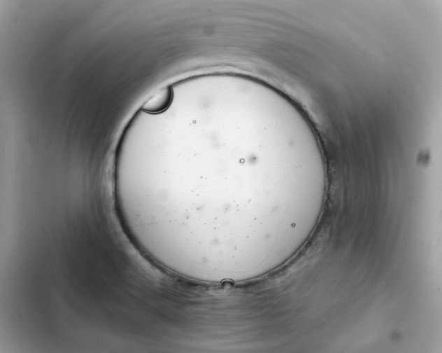 X0000102381516200808151846