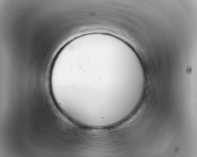 X0000102381518200808151846