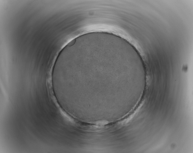 X0000102381521200808151846