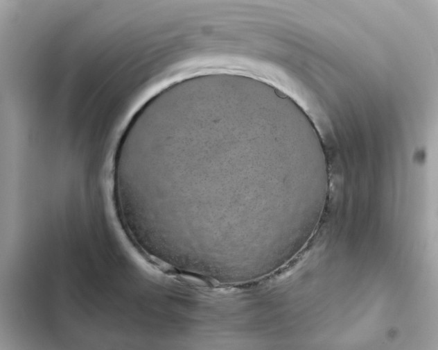 X0000102381523200808151846