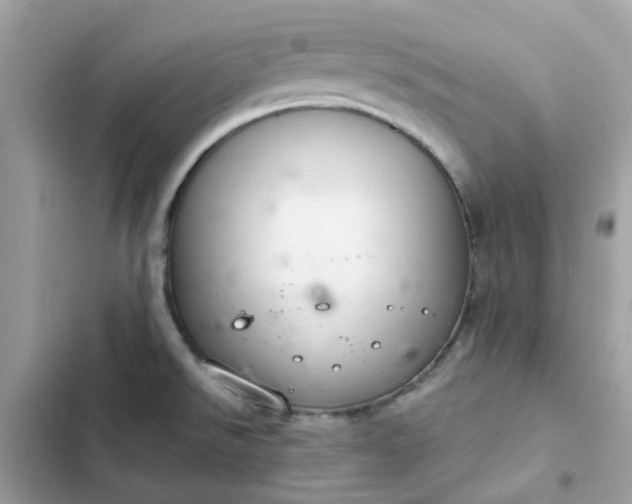 X0000102381526200808151846