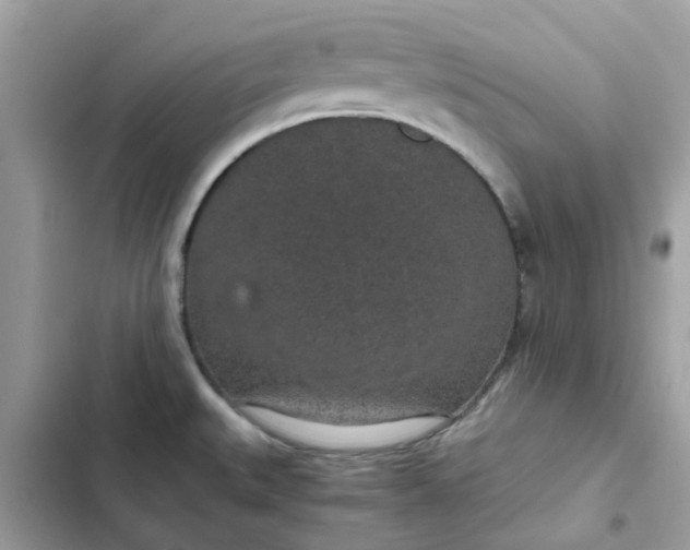 X0000102381527200808151846