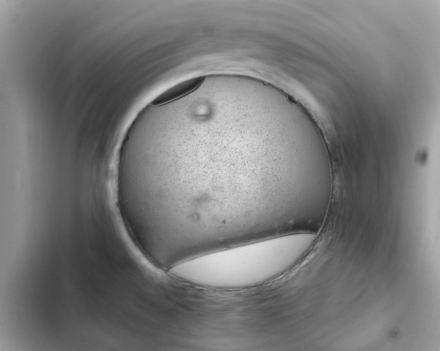 X0000102381528200808151846