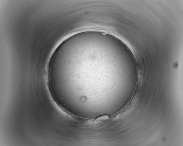 X0000102381531200808151846