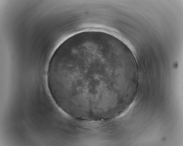 X0000102381533200808151846