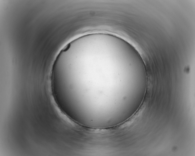 X0000102381534200808151846