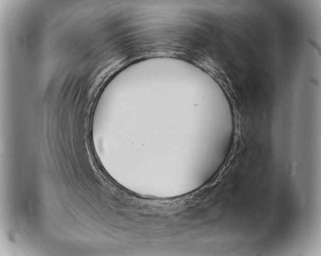 X0000102380001200808221812