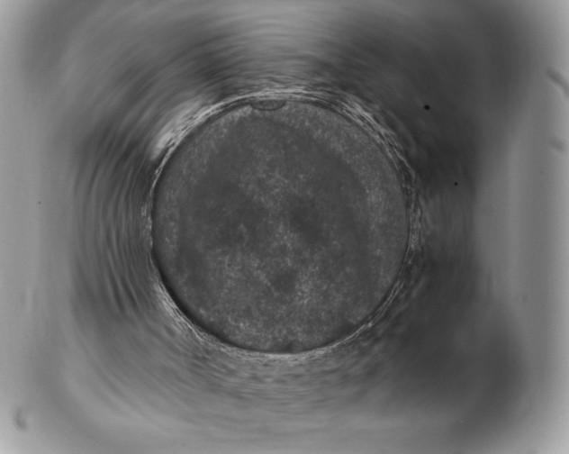 X0000102380002200808221812