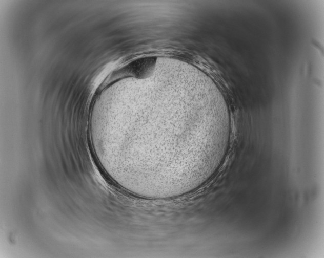 X0000102380003200808221812