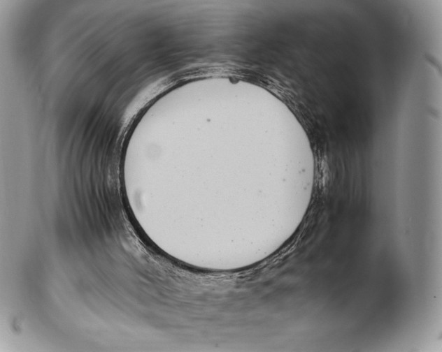 X0000102380004200808221812