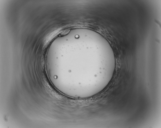 X0000102380005200808221812