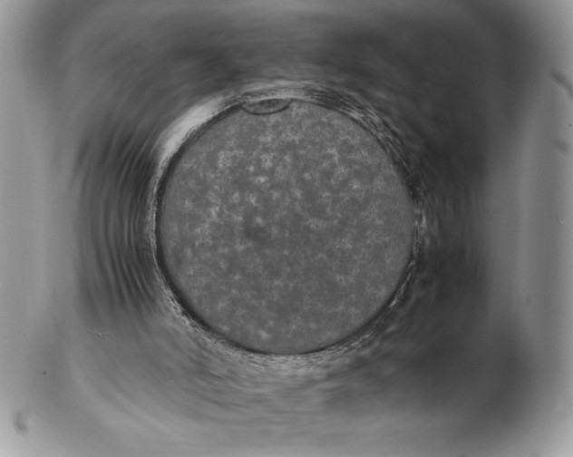 X0000102380006200808221812