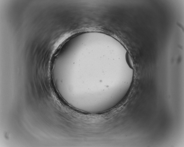 X0000102380008200808221812