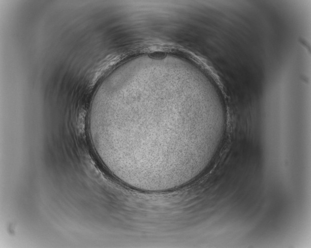 X0000102380010200808221812