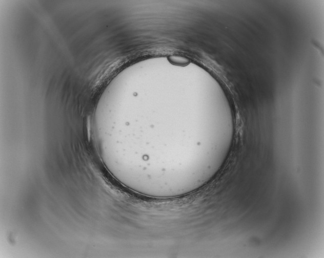 X0000102380013200808221812