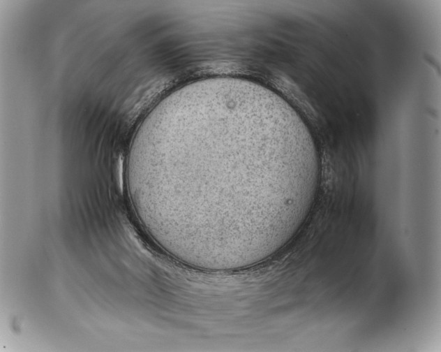 X0000102380014200808221812