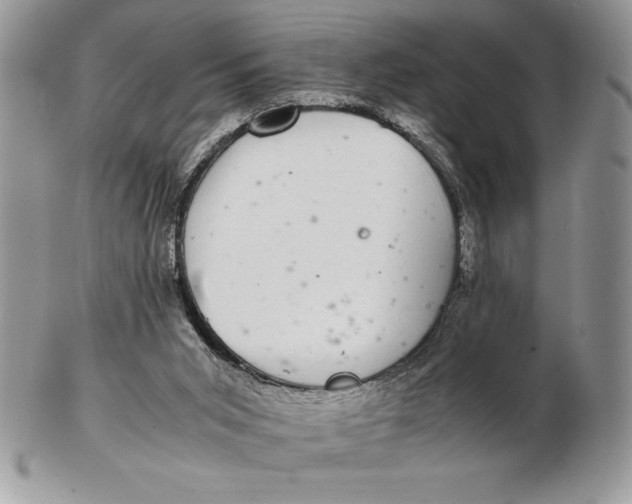 X0000102380015200808221812