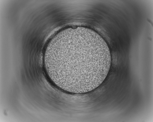 X0000102380016200808221812