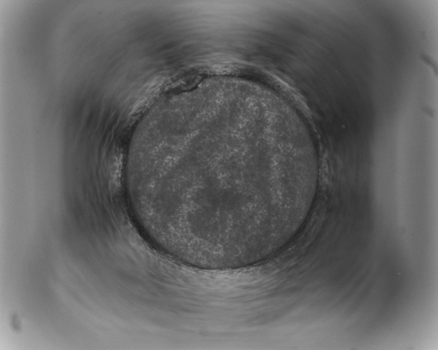 X0000102380018200808221812