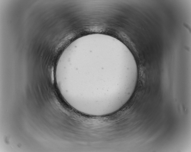 X0000102380020200808221812