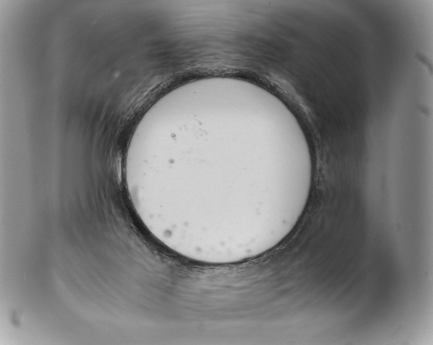 X0000102380021200808221812