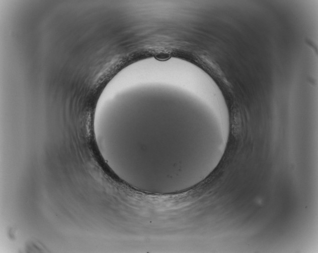 X0000102380023200808221812