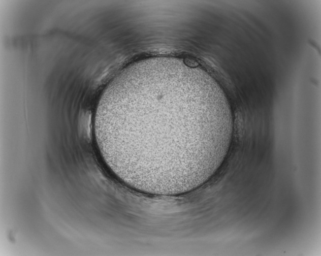 X0000102380024200808221812