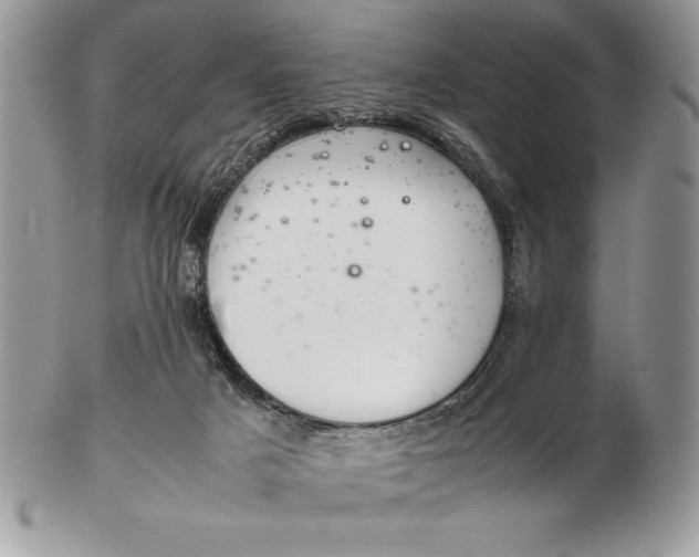 X0000102380025200808221812