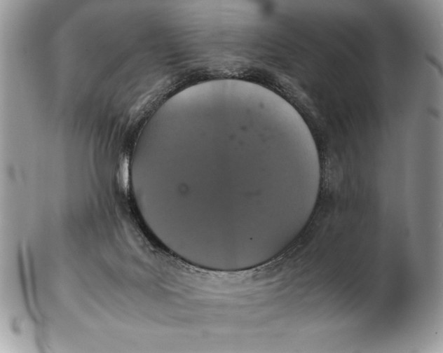 X0000102380027200808221812