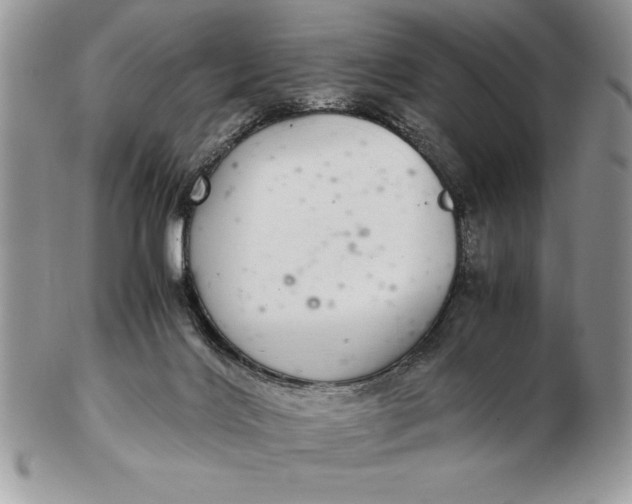 X0000102380028200808221812