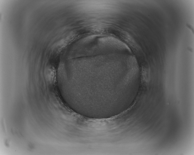 X0000102380029200808221812