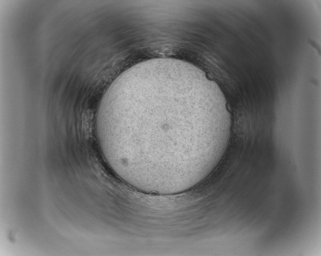 X0000102380030200808221812