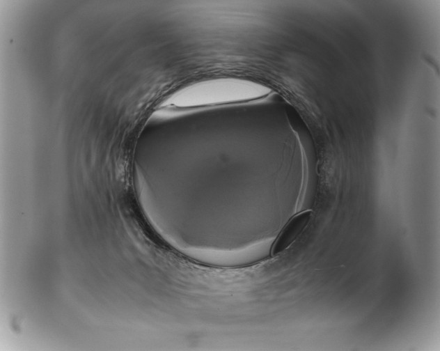 X0000102380031200808221812