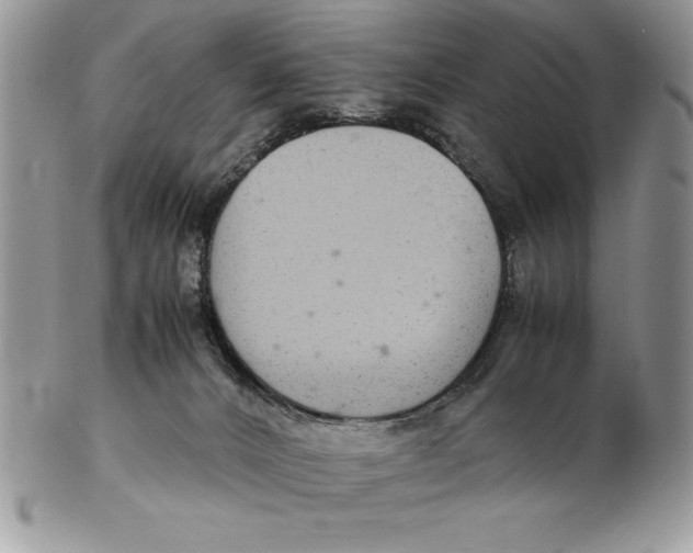 X0000102380032200808221812